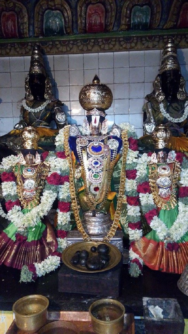 Sengalipuram Sri Parimala Ranganathar Temple Pavithrotsavam day 2 2014 03