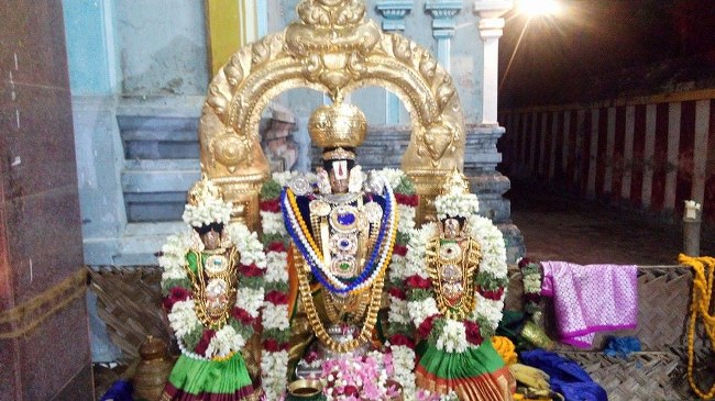 Sengalipuram Sri Parimala Ranganathar Temple Pavithrotsavam day 2 2014 07