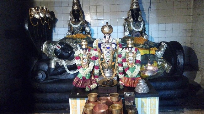 Sengalipuram Sri Parimala Ranganathar Temple Pavithrotsavam day 2 2014 08