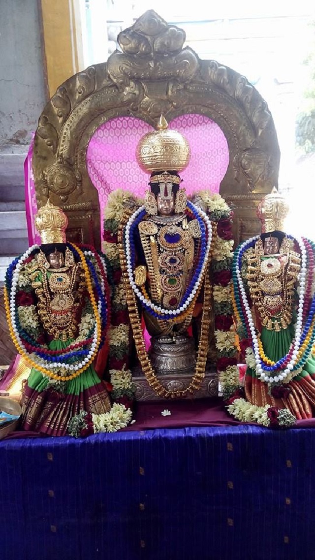 Sengalipuram Sri Parimala Ranganathar Temple Pavithrotsavam day 2 2014 14