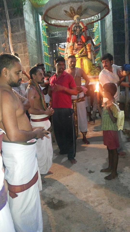 Singaperumal  temple Periyazhwar THirunakshatra Utsavam 2014 7