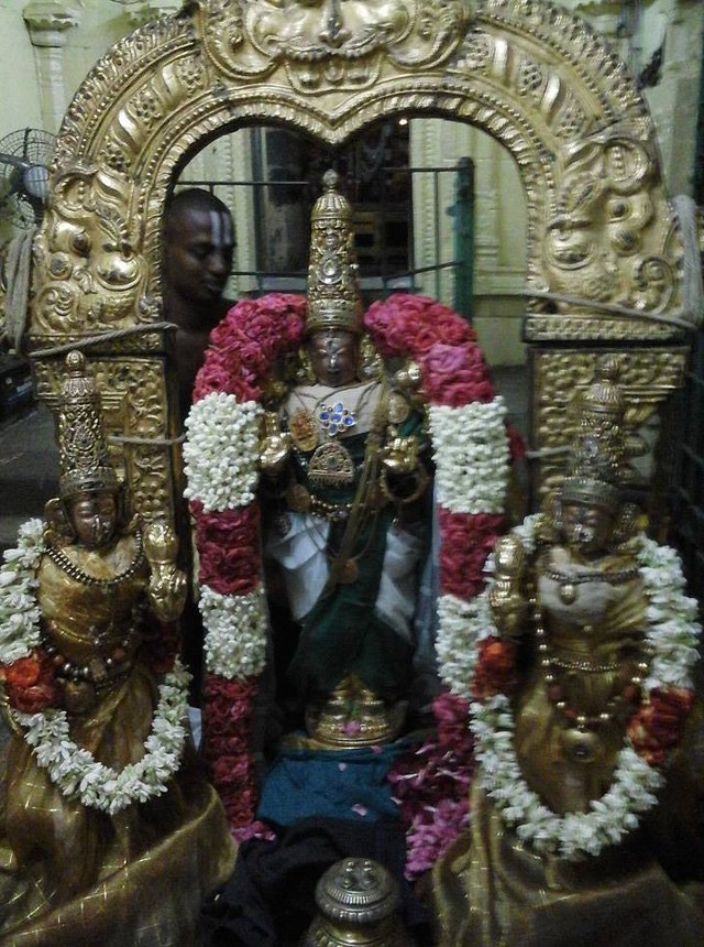 Sriperumpudur Adhikesava Perumal temple Periyazhwar THirunakshatra Utsavam 2014 5
