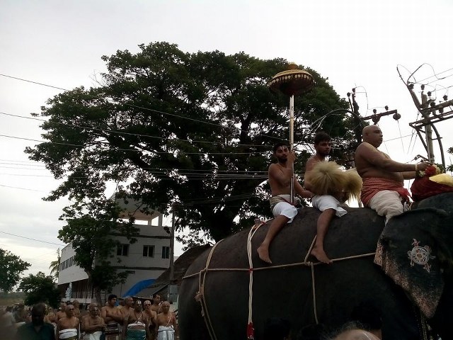 Srirangam Namperumal Jyestabhishekam 2014 16