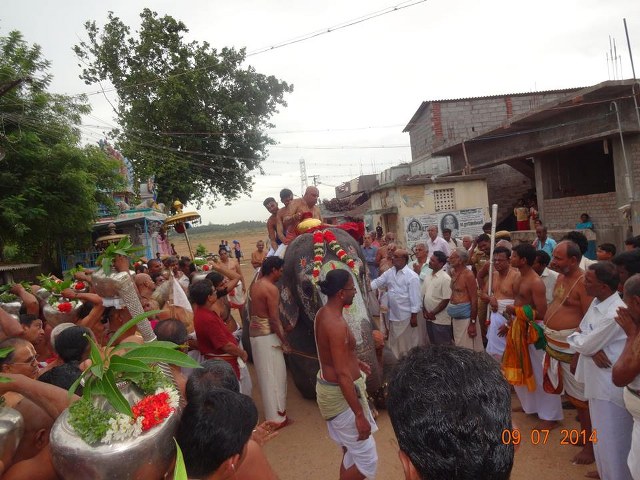 Srirangam Namperumal Jyestabhishekam 2014 32