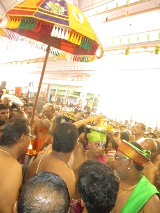 Srivilliputtur Sri Andal Brahmotsavam day 5 2014--0009