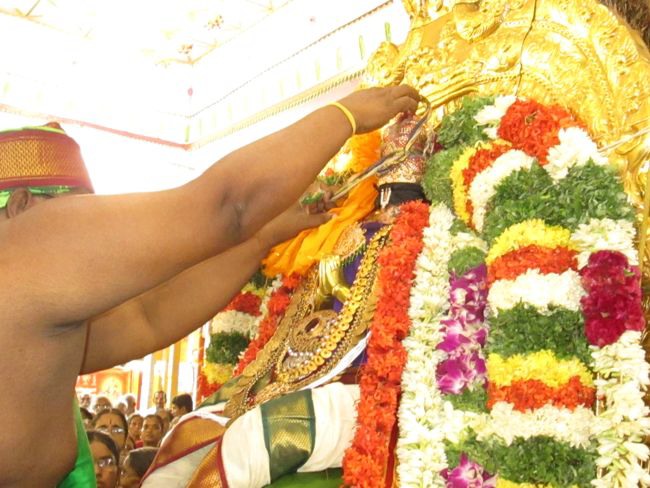 Srivilliputtur Sri Andal Brahmotsavam day 5 2014--0010