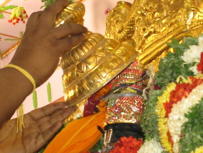 Srivilliputtur Sri Andal Brahmotsavam day 5 2014--0012