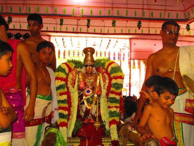 Srivilliputtur Sri Andal Brahmotsavam day 5 2014--0022