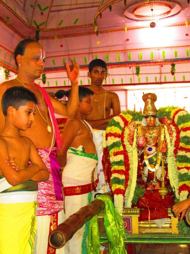 Srivilliputtur Sri Andal Brahmotsavam day 5 2014--0023