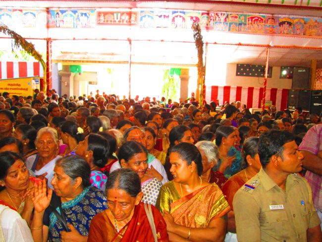 Srivilliputtur Sri Andal Brahmotsavam day 5 2014--0028