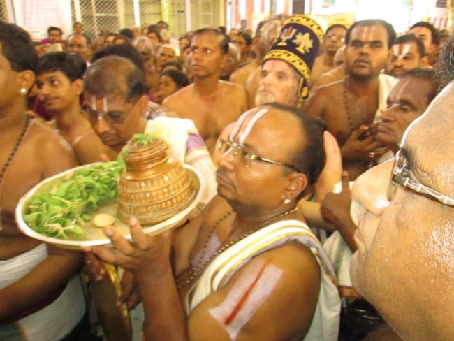 Srivilliputtur Sri Andal Brahmotsavam day 5 2014--0040