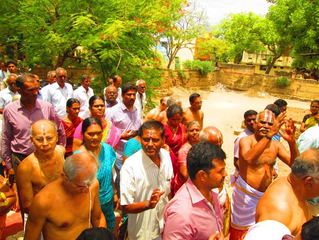 Srivilliputtur Sri Andal Brahmotsavam day 5 2014--0047