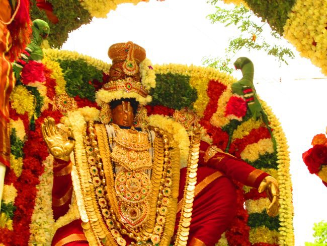 Srivilliputtur Sri Andal Brahmotsavam day 5 2014--0048
