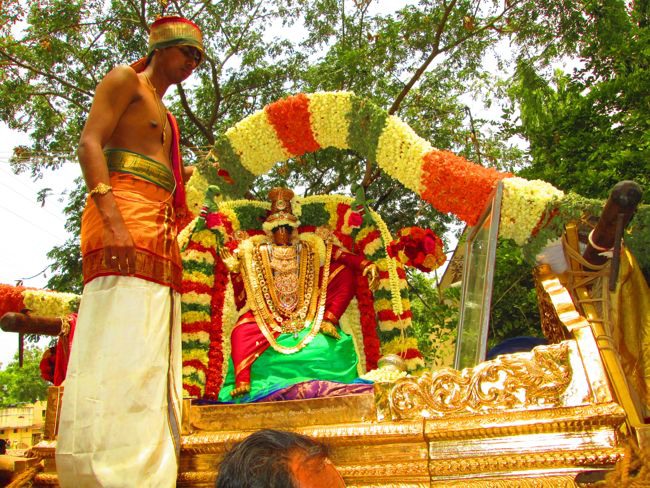 Srivilliputtur Sri Andal Brahmotsavam day 5 2014--0051
