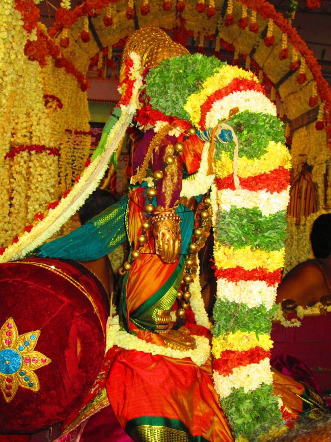 Srivilliputtur Sri Andal Brahmotsavam day 5 2014--0074