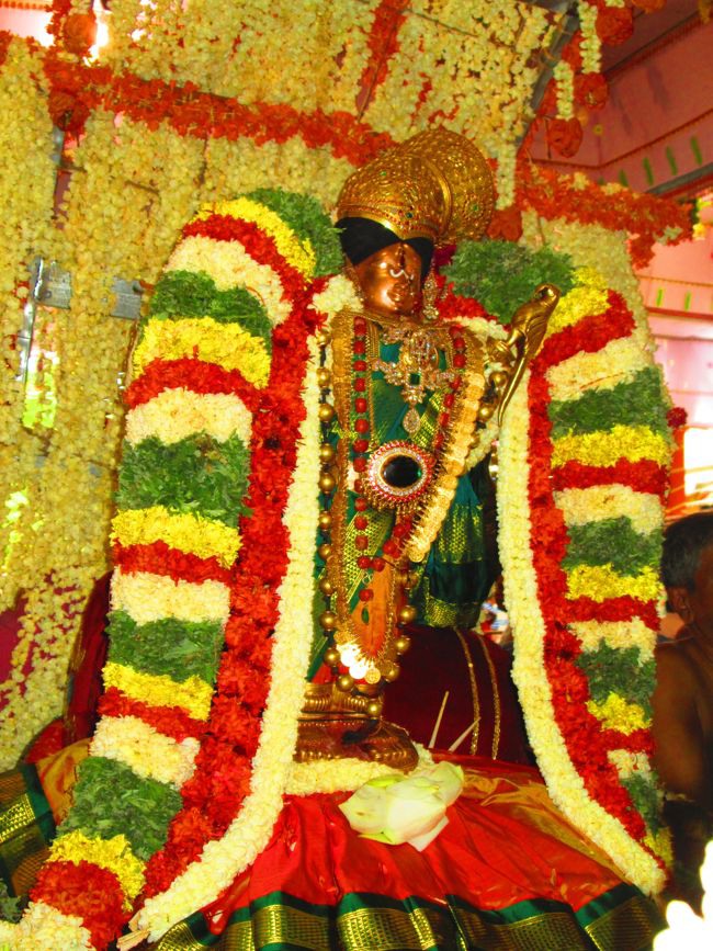 Srivilliputtur Sri Andal Brahmotsavam day 5 2014--0075