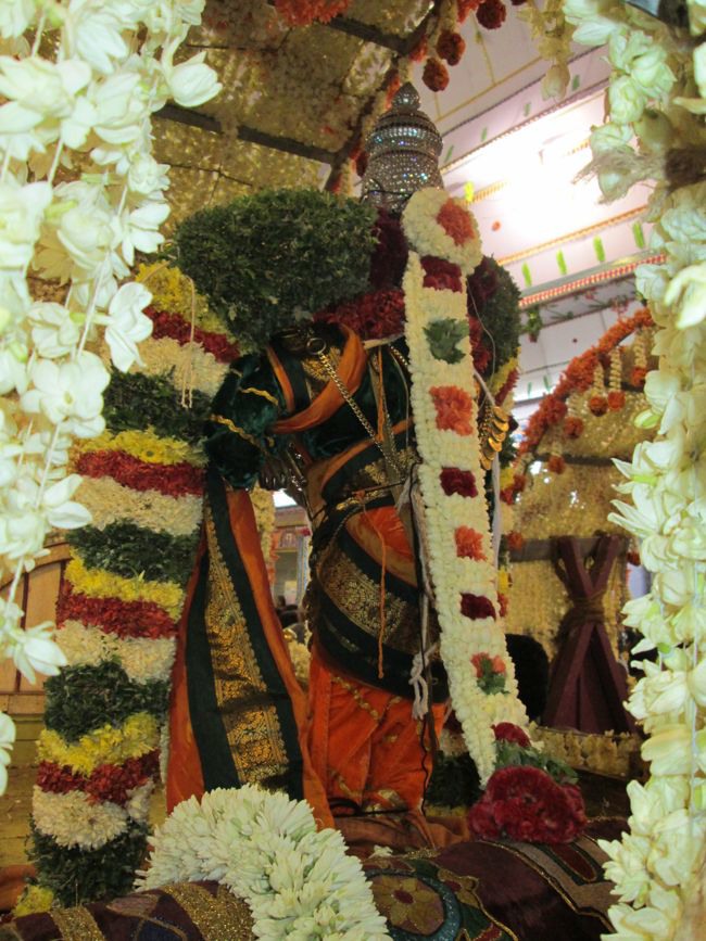 Srivilliputtur Sri Andal Brahmotsavam day 5 2014--0079