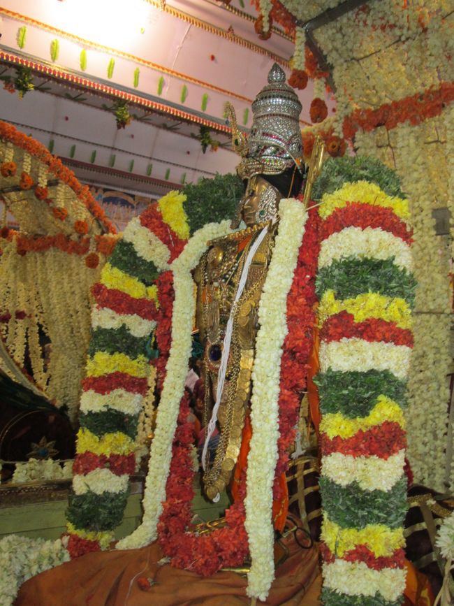 Srivilliputtur Sri Andal Brahmotsavam day 5 2014--0081