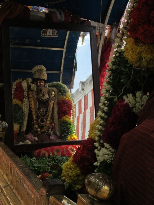 Srivilliputtur Sri Andal Thiruvadipoora Brahmotsavam day 6  Morning 2014--08