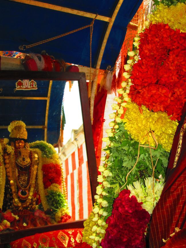 Srivilliputtur Sri Andal Thiruvadipoora Brahmotsavam day 6  Morning 2014--09