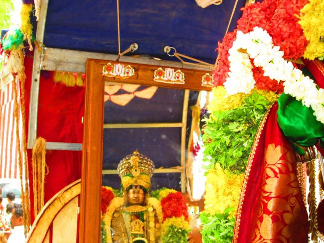 Srivilliputtur Sri Andal Thiruvadipoora Brahmotsavam day 6  Morning 2014--10