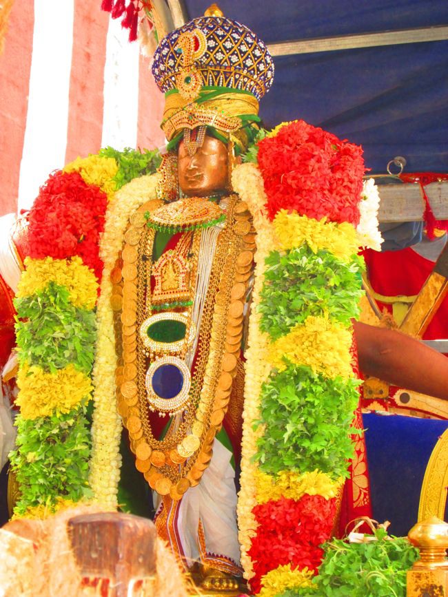 Srivilliputtur Sri Andal Thiruvadipoora Brahmotsavam day 6  Morning 2014--11