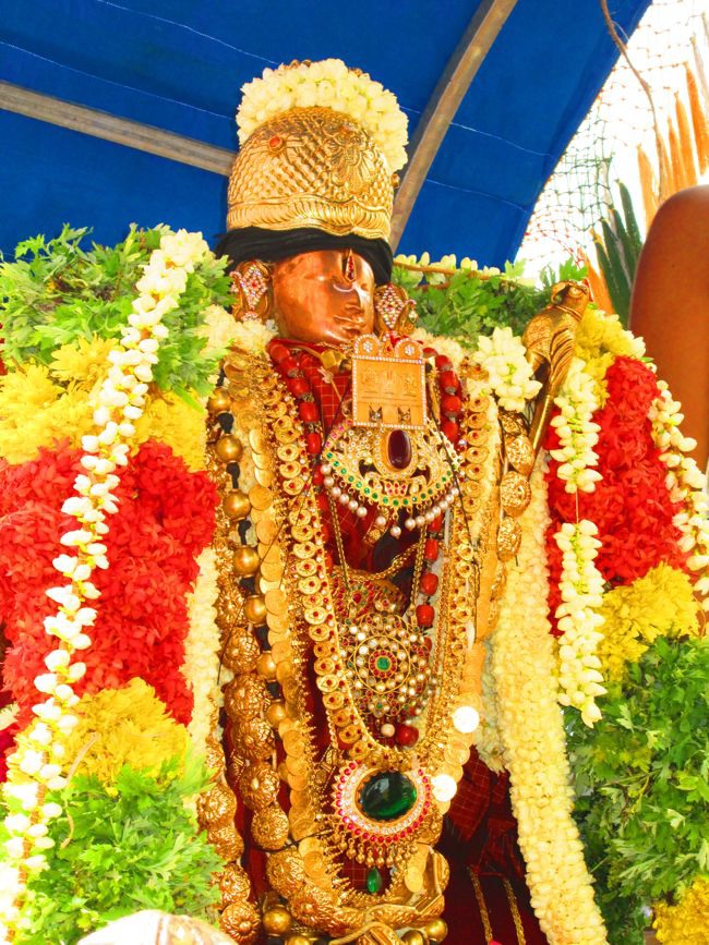 Srivilliputtur Sri Andal Thiruvadipoora Brahmotsavam day 6  Morning 2014--24