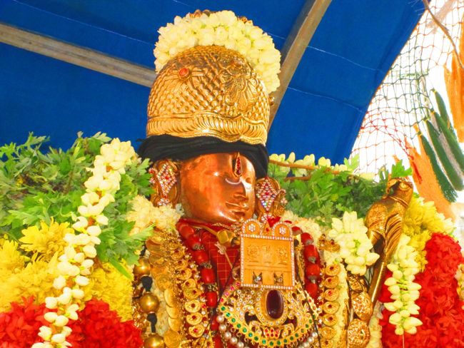 Srivilliputtur Sri Andal Thiruvadipoora Brahmotsavam day 6  Morning 2014--25