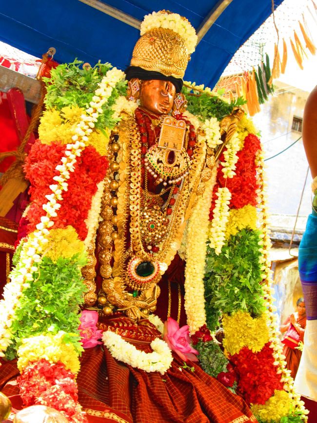 Srivilliputtur Sri Andal Thiruvadipoora Brahmotsavam day 6  Morning 2014--26