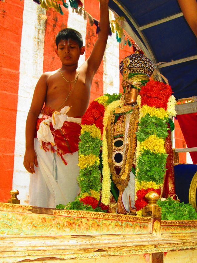 Srivilliputtur Sri Andal Thiruvadipoora Brahmotsavam day 6  Morning 2014--30
