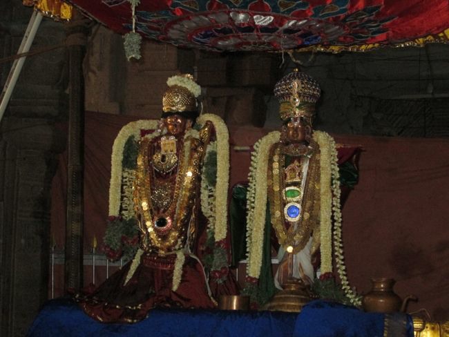 Srivilliputtur Sri Andal Thiruvadipoora Brahmotsavam day 6  Morning 2014--34