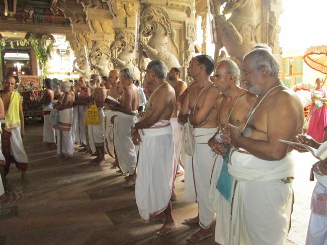 Srivilliputtur Sri Andal Thiruvadipoora Brahmotsavam day 6  Morning 2014--35