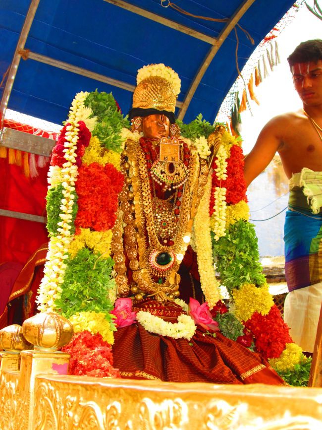 Srivilliputtur Sri Andal Thiruvadipoora Brahmotsavam day 6  Morning 2014--38