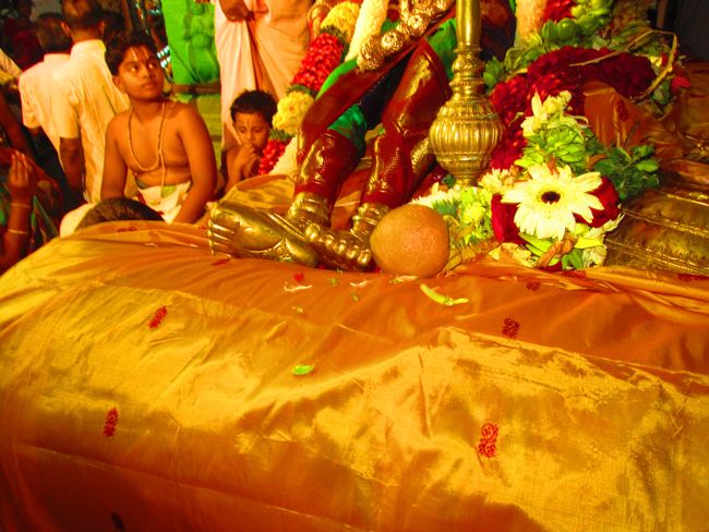 Srivilliputtur THiruvadipooram Brahmotsavam Sayanotsavam day 7 2014 06