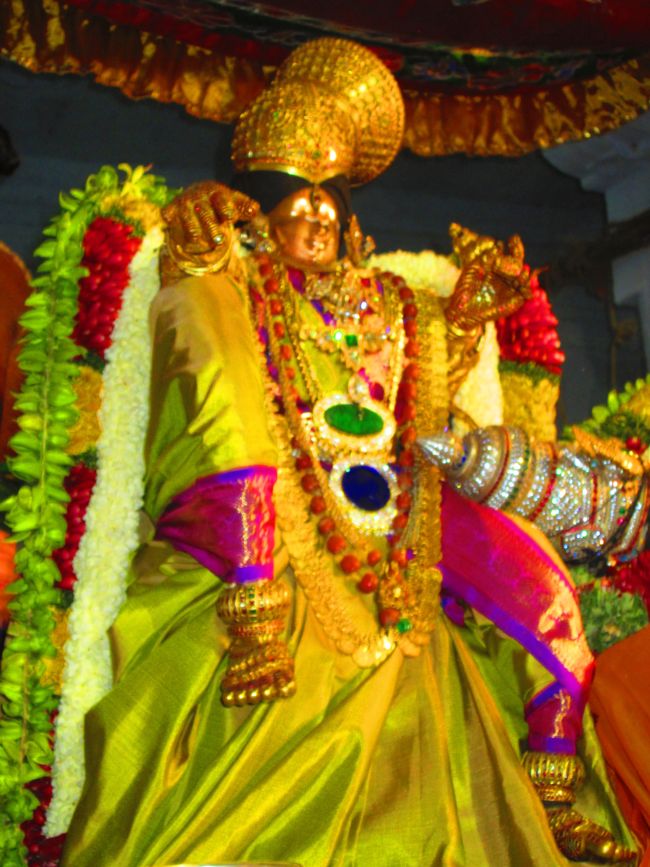 Srivilliputtur THiruvadipooram Brahmotsavam Sayanotsavam day 7 2014 12