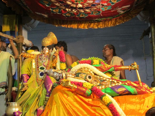 Srivilliputtur THiruvadipooram Brahmotsavam Sayanotsavam day 7 2014 15