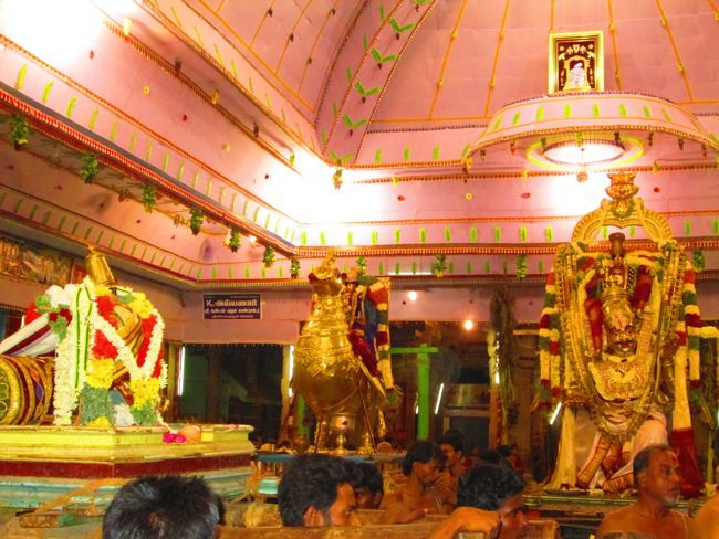 Srivilliputtur Thiruvadipooram Brahmotsavam 5 garuda Sevai  day 5 2014--0021