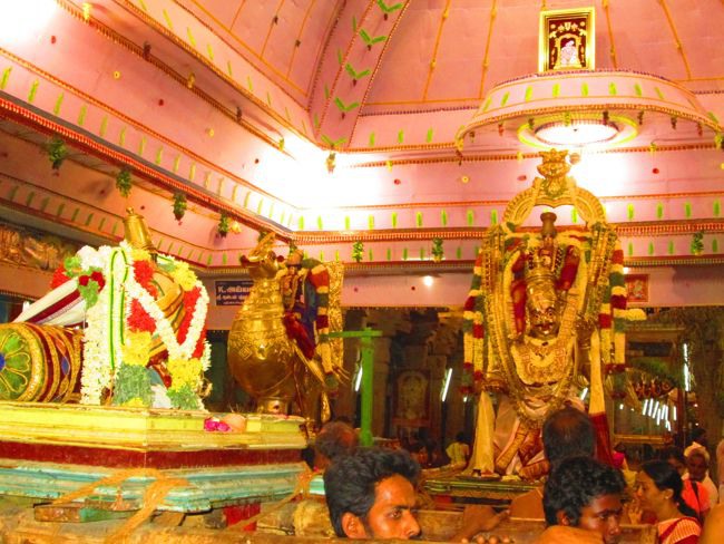 Srivilliputtur Thiruvadipooram Brahmotsavam 5 garuda Sevai  day 5 2014--0022