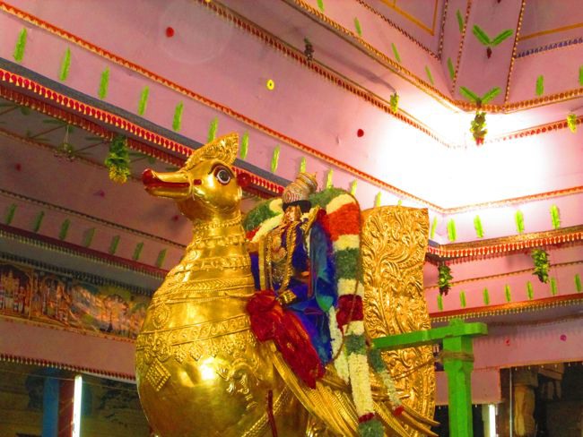 Srivilliputtur Thiruvadipooram Brahmotsavam 5 garuda Sevai  day 5 2014--0023