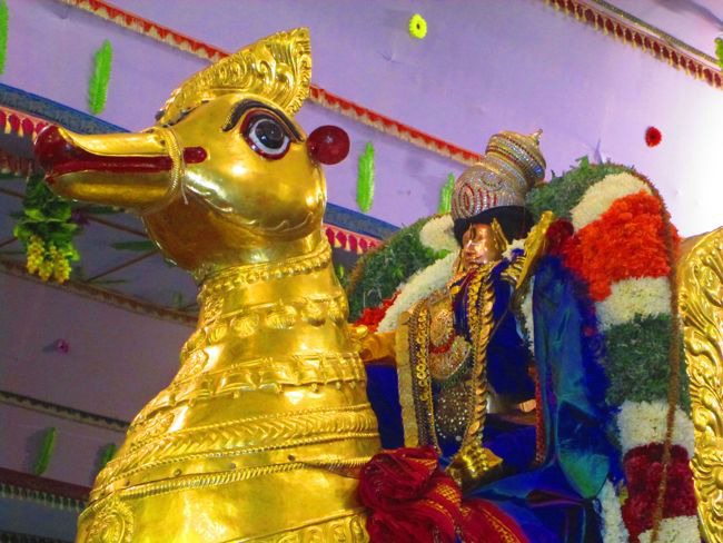 Srivilliputtur Thiruvadipooram Brahmotsavam 5 garuda Sevai  day 5 2014--0024