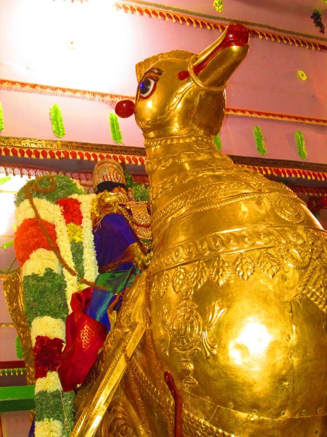 Srivilliputtur Thiruvadipooram Brahmotsavam 5 garuda Sevai  day 5 2014--0035