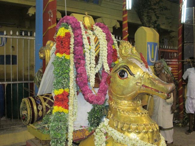 Srivilliputtur Thiruvadipooram Brahmotsavam 5 garuda Sevai  day 5 2014--0038