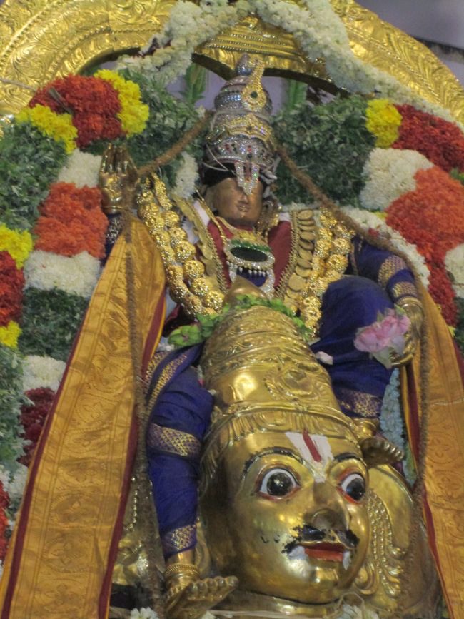 Srivilliputtur Thiruvadipooram Brahmotsavam 5 garuda Sevai  day 5 2014--0042