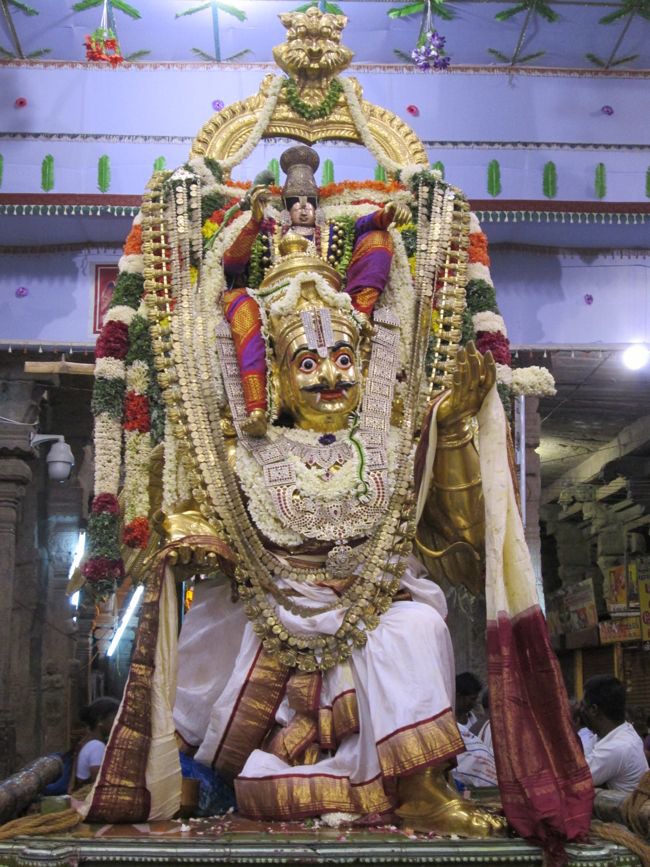 Srivilliputtur Thiruvadipooram Brahmotsavam 5 garuda Sevai  day 5 2014--0044