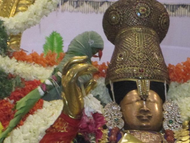 Srivilliputtur Thiruvadipooram Brahmotsavam 5 garuda Sevai  day 5 2014--0050