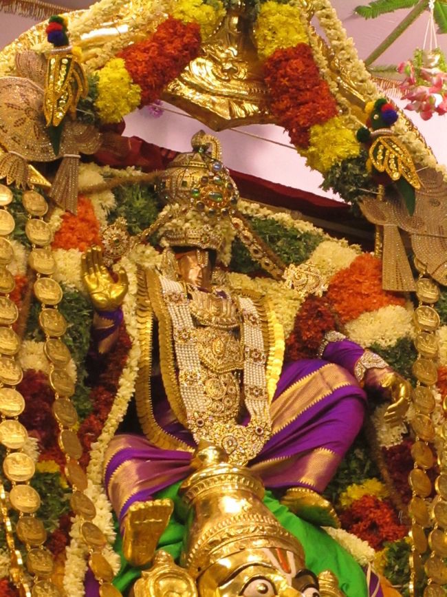 Srivilliputtur Thiruvadipooram Brahmotsavam 5 garuda Sevai  day 5 2014--0059