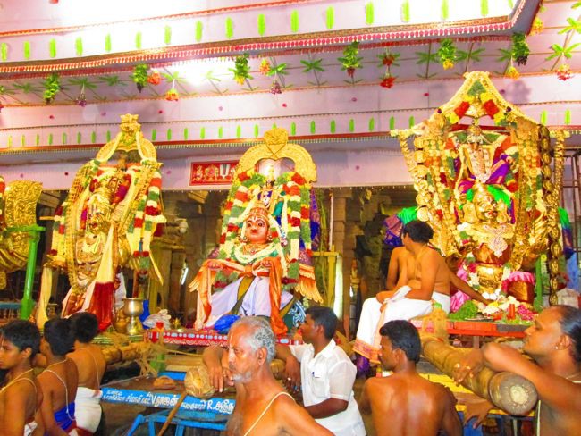 Srivilliputtur Thiruvadipooram Brahmotsavam 5 garuda Sevai  day 5 2014--0063