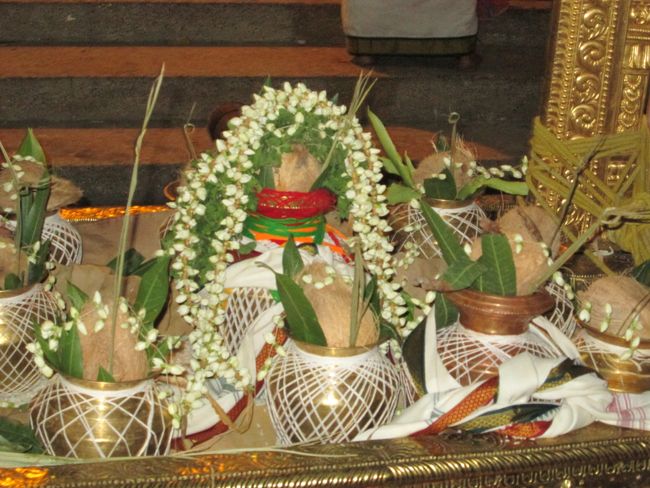Srivilliputtur Thiruvadipooram Utsavam10