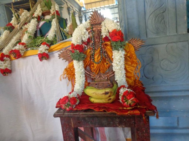 Sudharshana Jayanthi at Taramani Sri Prasanna Venkatesa Perumal Temple 2014 5