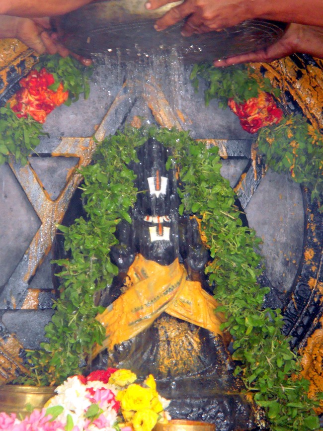Sudharshana Jayanthi at Thiruvelukkai Divyadesam 2014 24